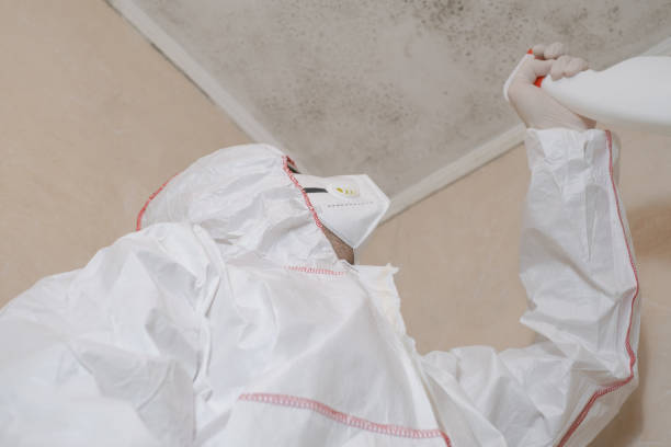 Best Emergency Mold Removal  in Sterling, CO